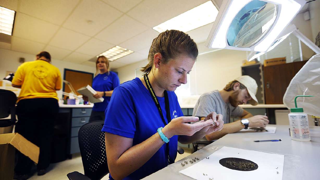 Zika continues to be a concern in colder months, experts say