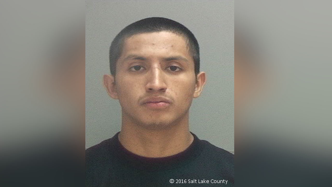 'Dozens' of teens cited, 2 adults arrested at raucous party of 100