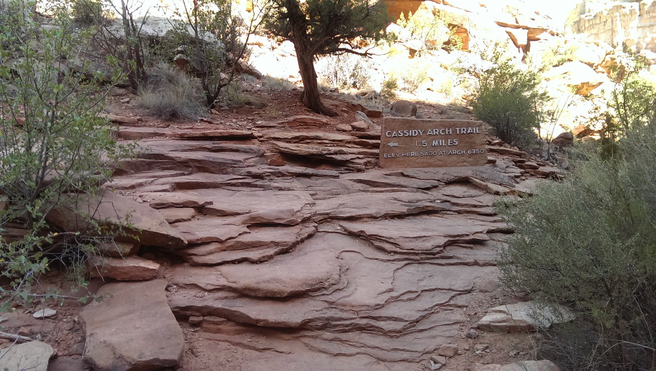 The turnoff for the trail to Cassidy Arch. (Photo: Natalie Crofts, KSL)