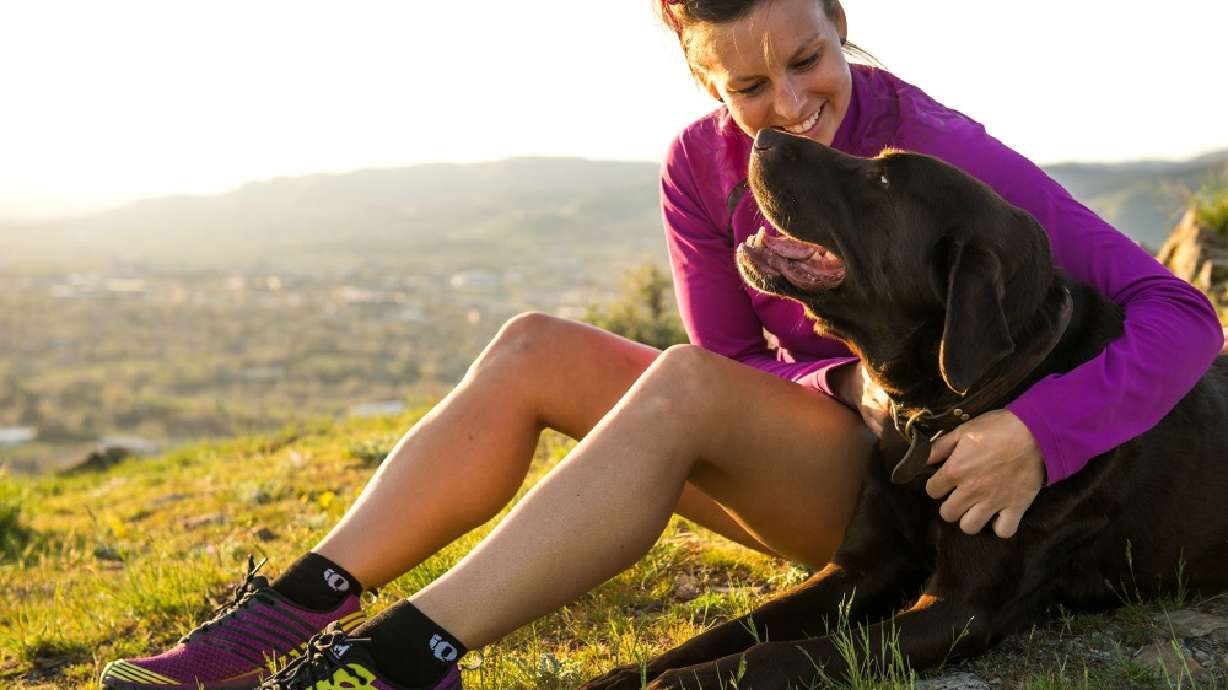 12 dog-friendly hiking trails near Salt Lake City
