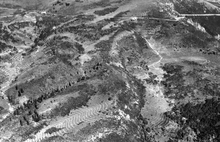 An ariel view photo taken in 1935 of Parrish Canyon showing the terrace trenches constructed by the CCC. (Photo: Utah Division of State History)