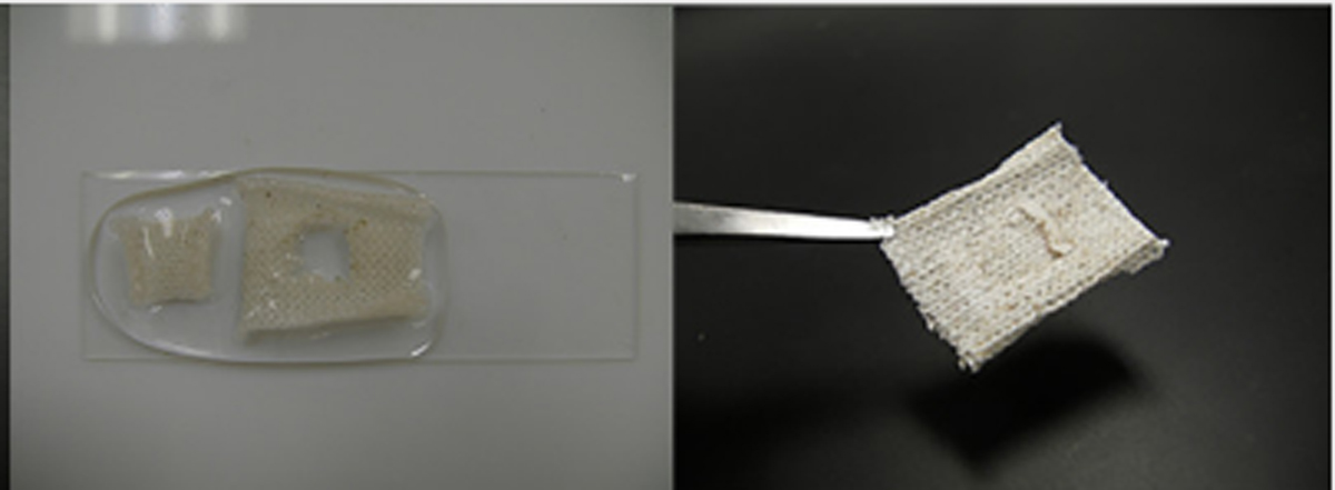 This liquid could let torn clothes repair themselves