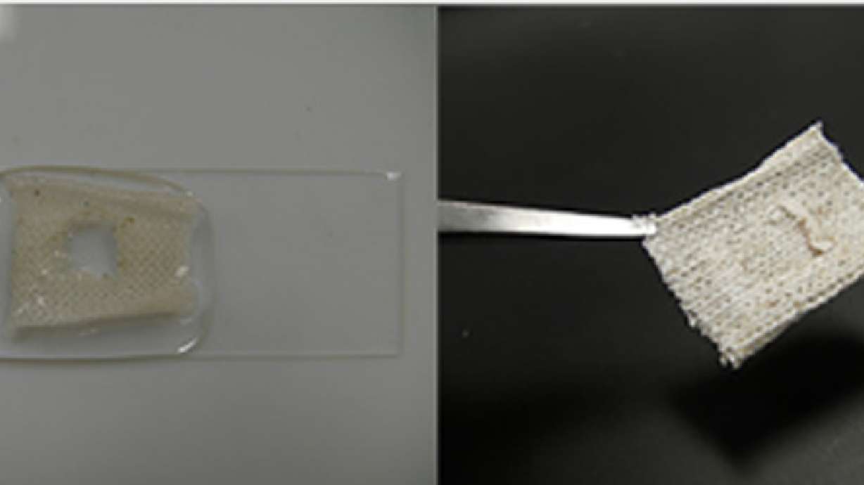 This liquid could let torn clothes repair themselves