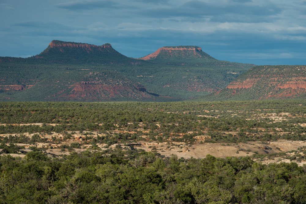 Trump may cut size of Bears Ears by 90 percent, top Hatch staffer says