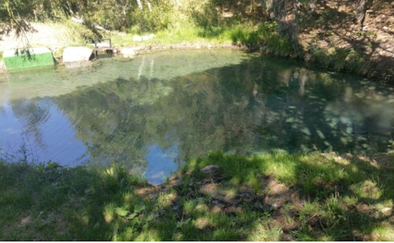 A pond near the Butt’s camping site. (Photo: Courtesy Jim Sevy)