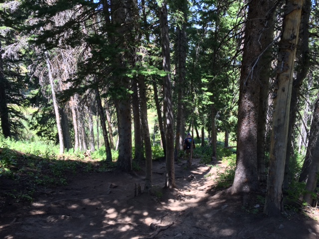 Trail to Lake Solitude. Photo credit: Faith Heaton Jolley, KSL