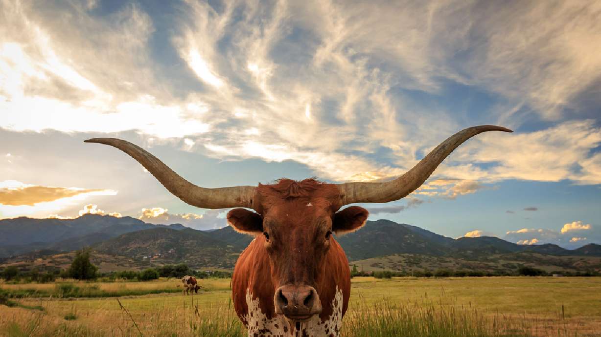 Quiz: Can you guess where this is in Utah?