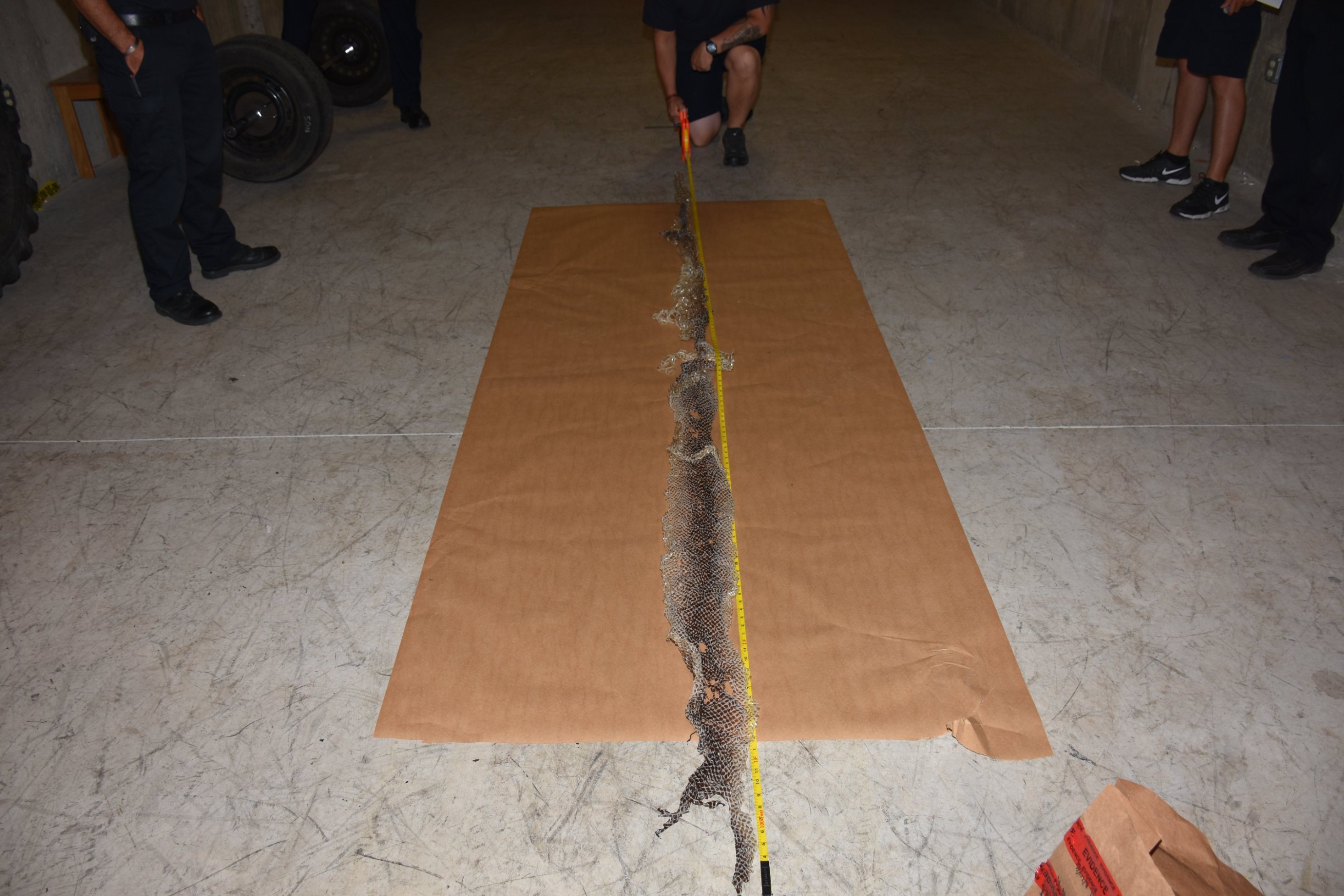 10-foot snake on the loose in small Maine town