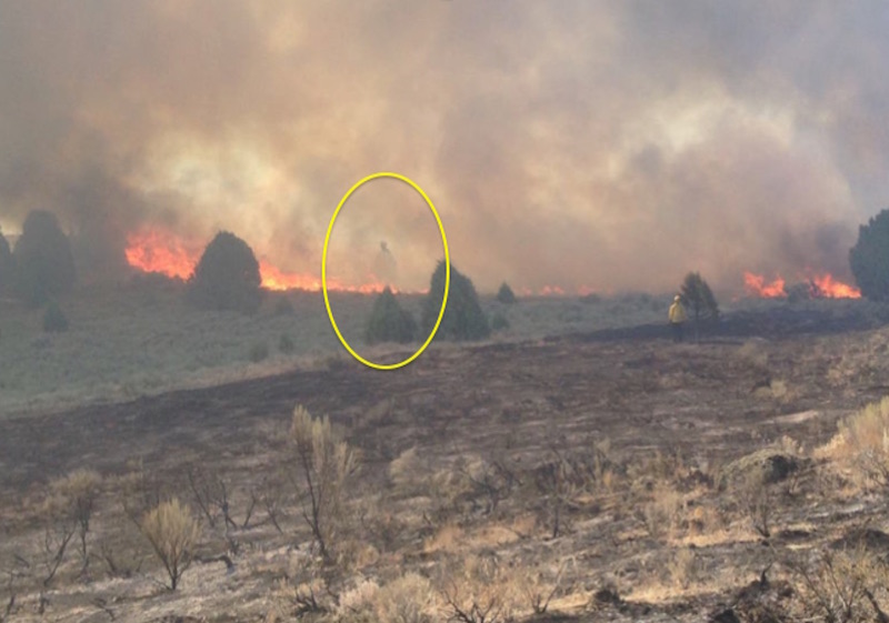 Family who nearly lost cabins in fire snaps 'angelic' photo