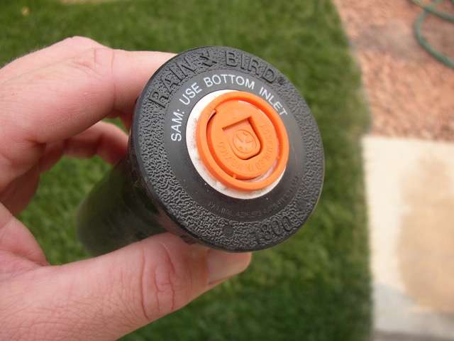 Courtesy of Conservation Garden Park