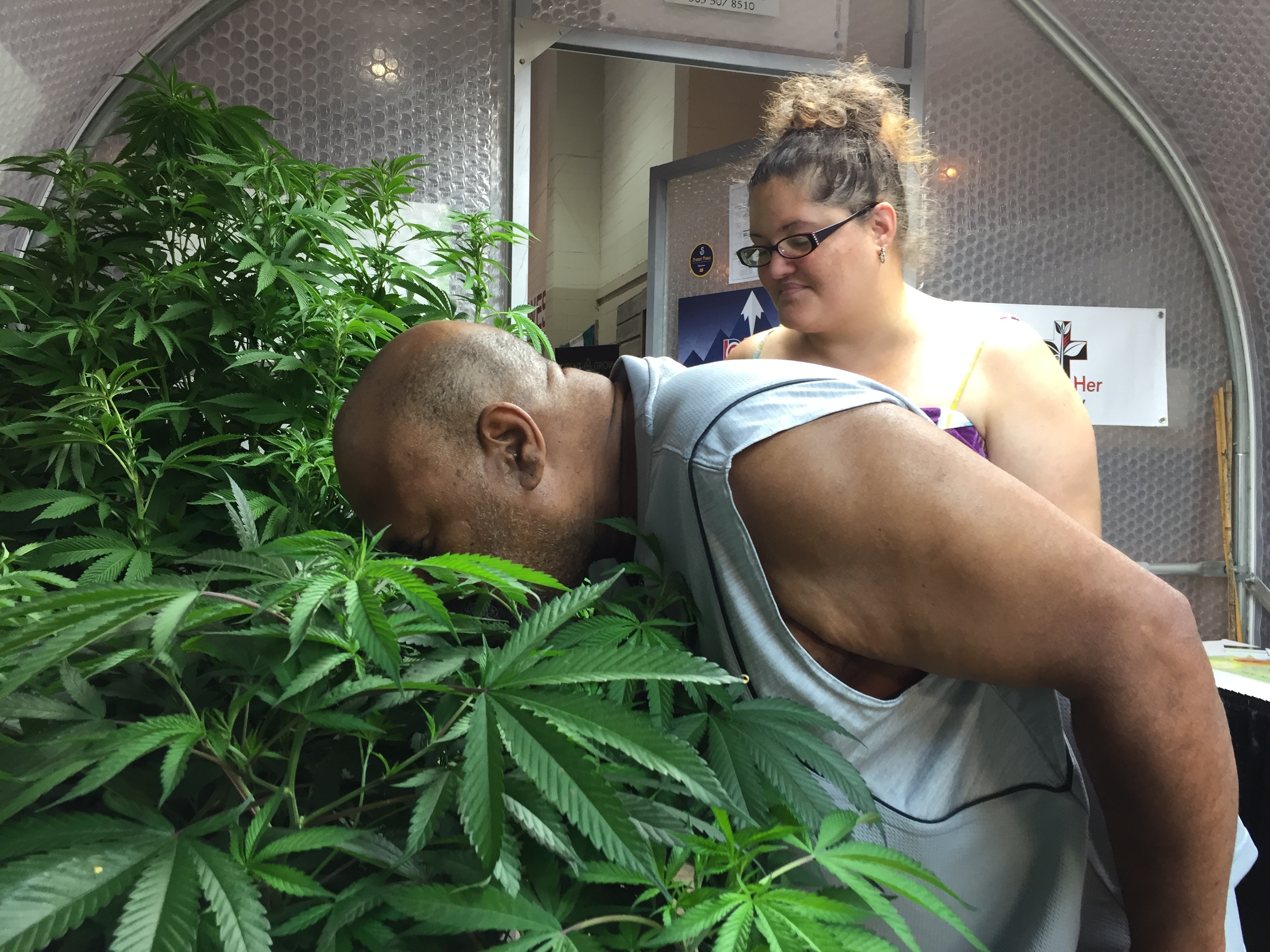 The Latest: Pot plants on display at Oregon State Fair