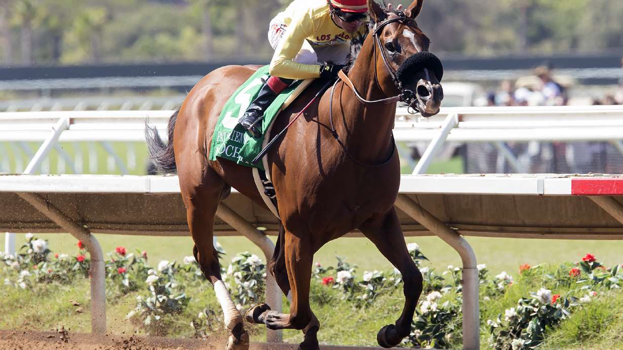 Masochistic wins $200,000 Pat O'Brien Stakes at Del Mar