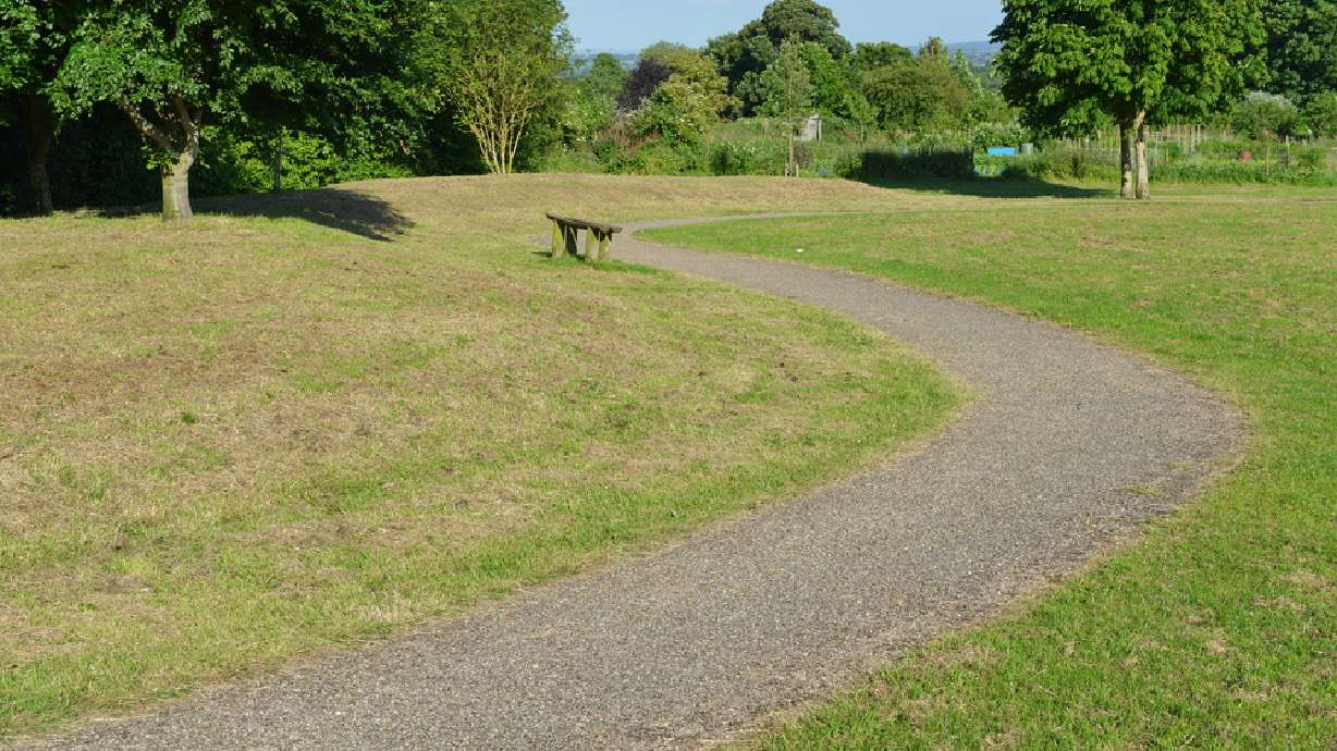 5 cheap and easy ways to fix brown spots in your lawn