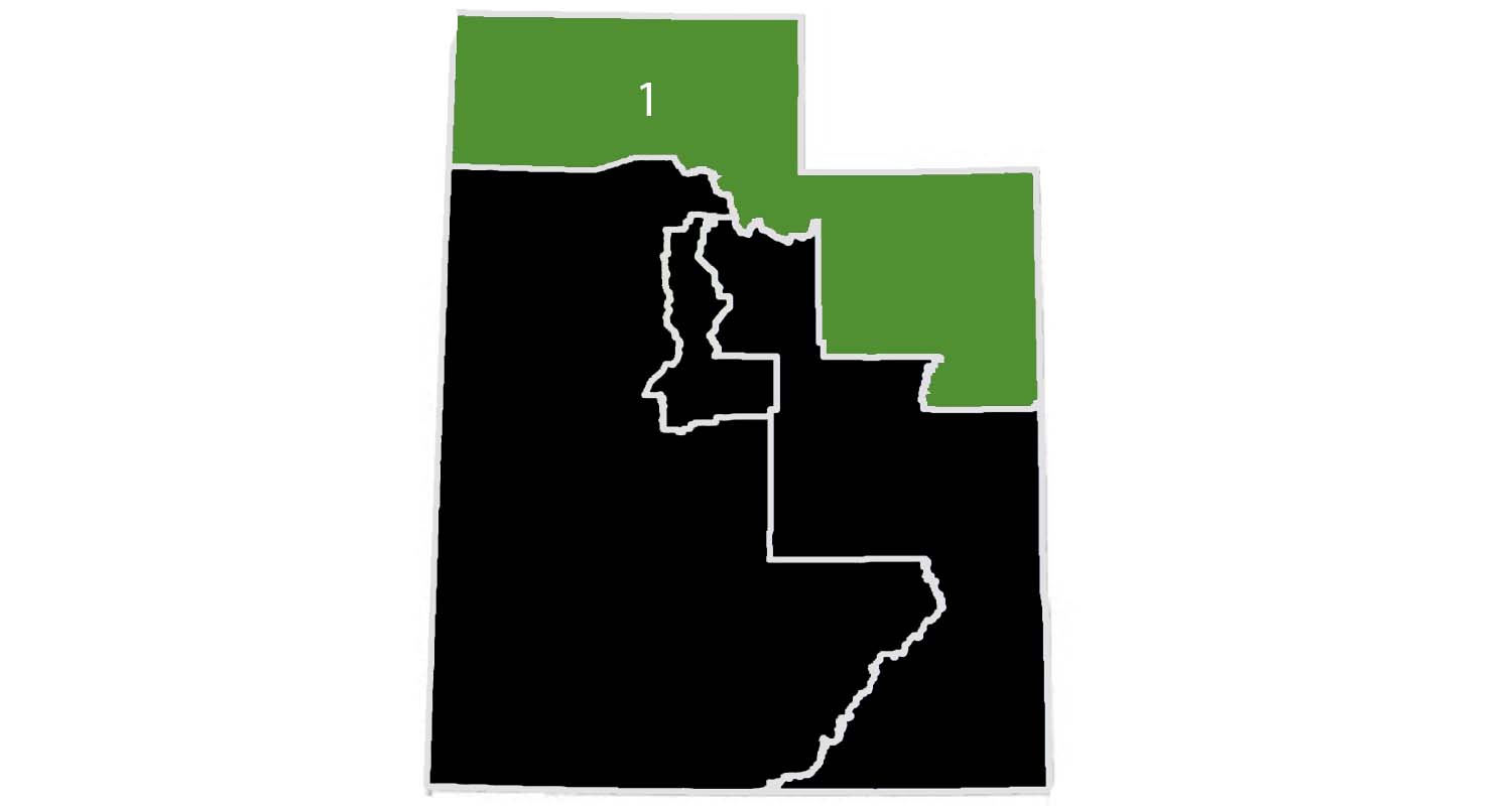 Election 2016: A quick look at who is on Utah's ballot for governor and Congress seats