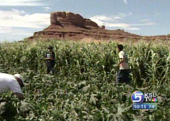 Navajo Students Growing Garden in Unlikely Place