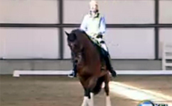 Horse Riding Enthusiasts Gather in Heber