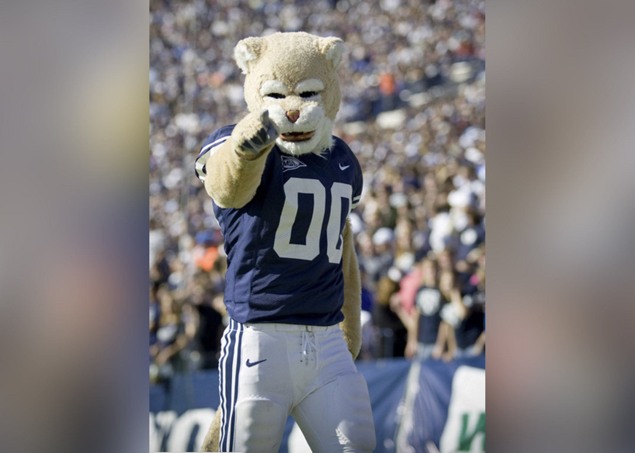 Cosmo the Cougar voted Utah residents' favorite college mascot