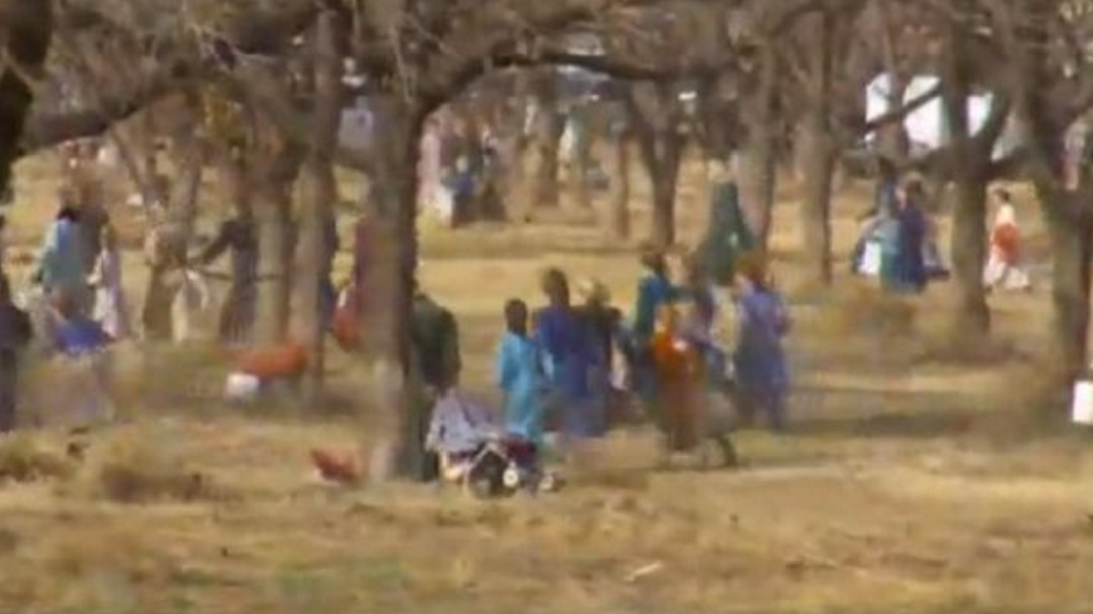 Judge considering penalties in polygamous child labor case