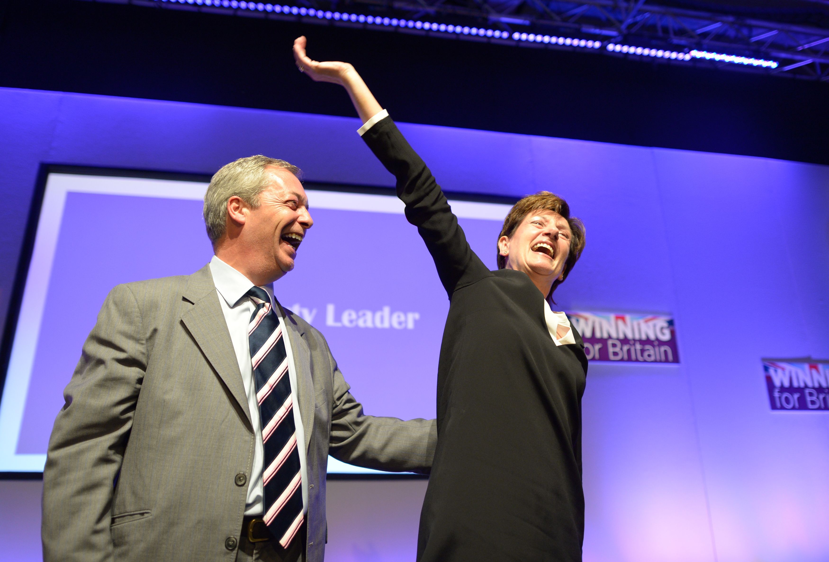 Britain's UKIP elects Diane James new leader amid acrimony