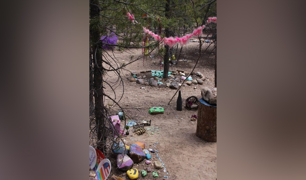Park visitors vandalize 'Fairy Forest' for years