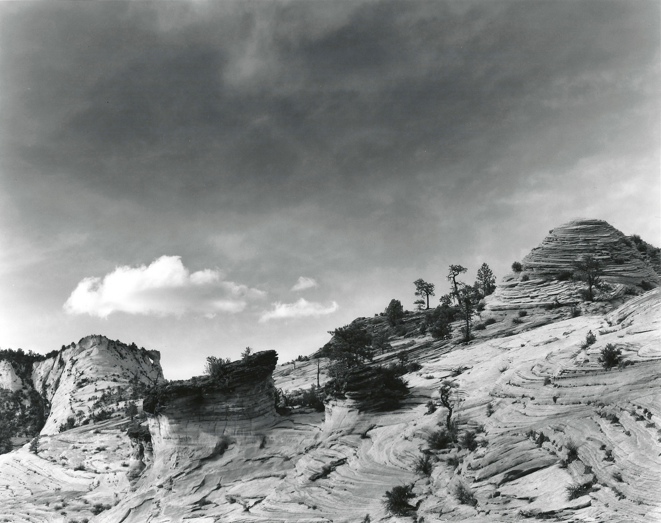 Local photography exhibit celebrates unique textures of Zion