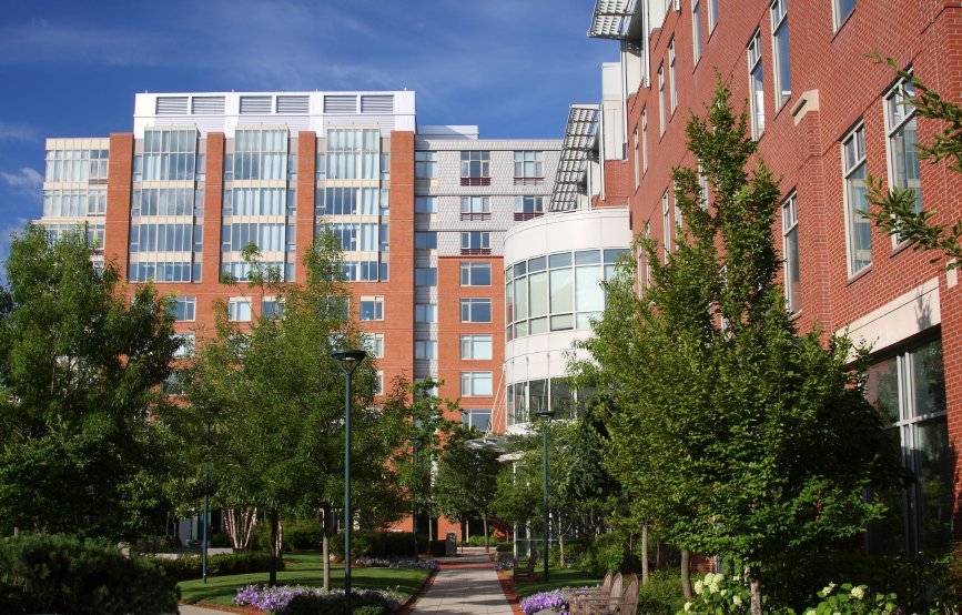 MIT scientists use radio waves to sense human emotions