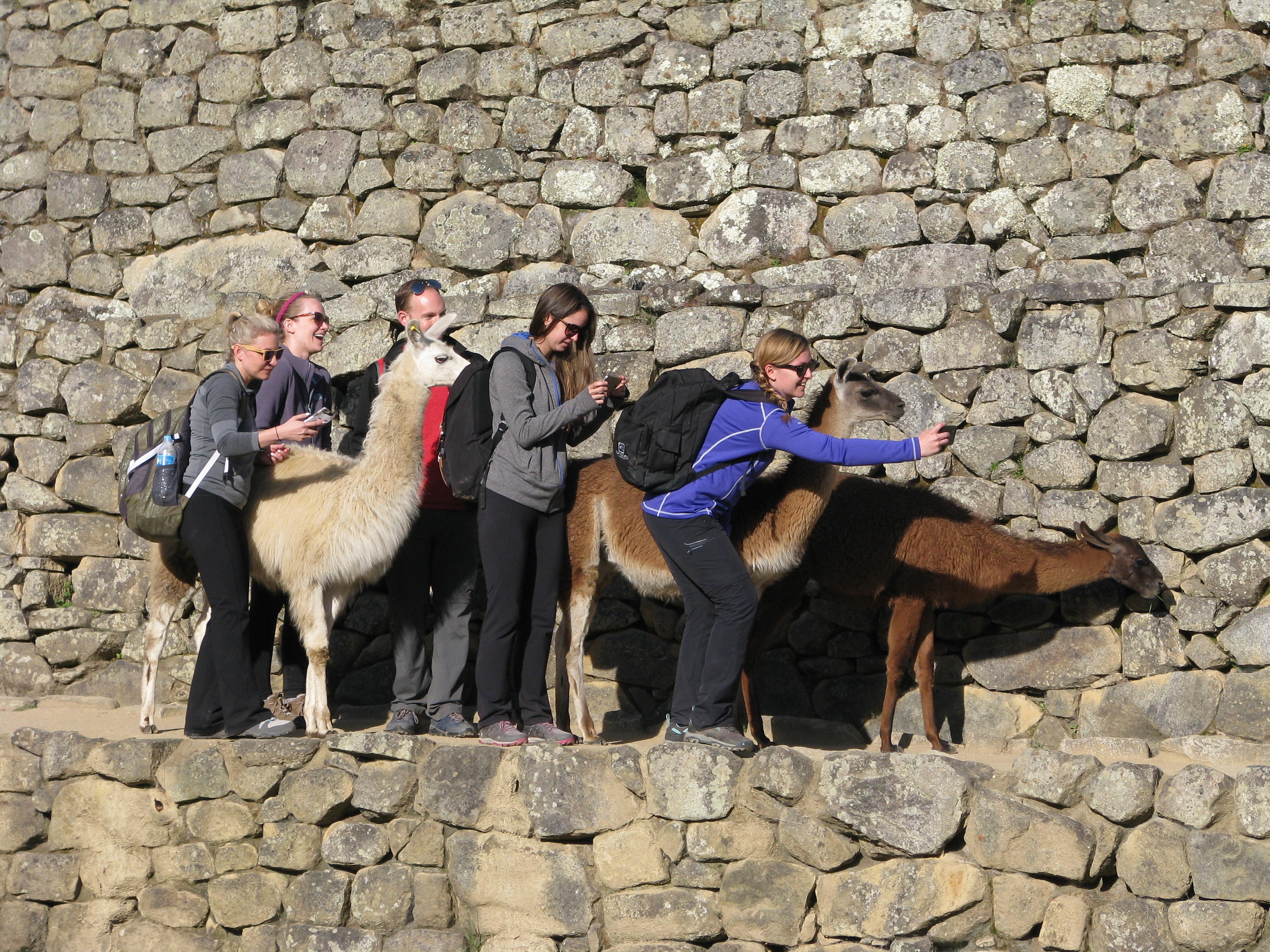 Hiking to Machu Picchu past sacred Inca peaks in the Andes