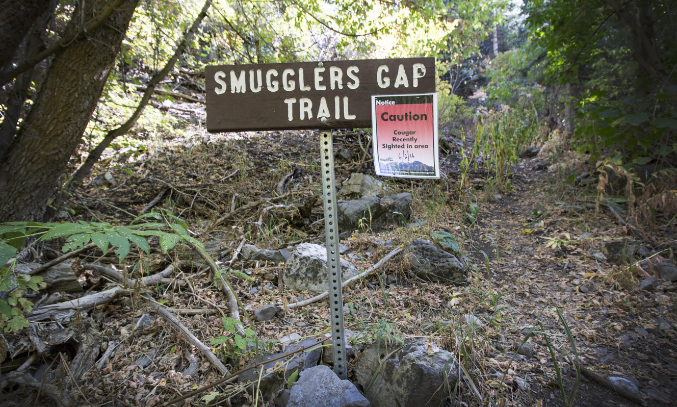 Photo credit: Carter Williams, KSL