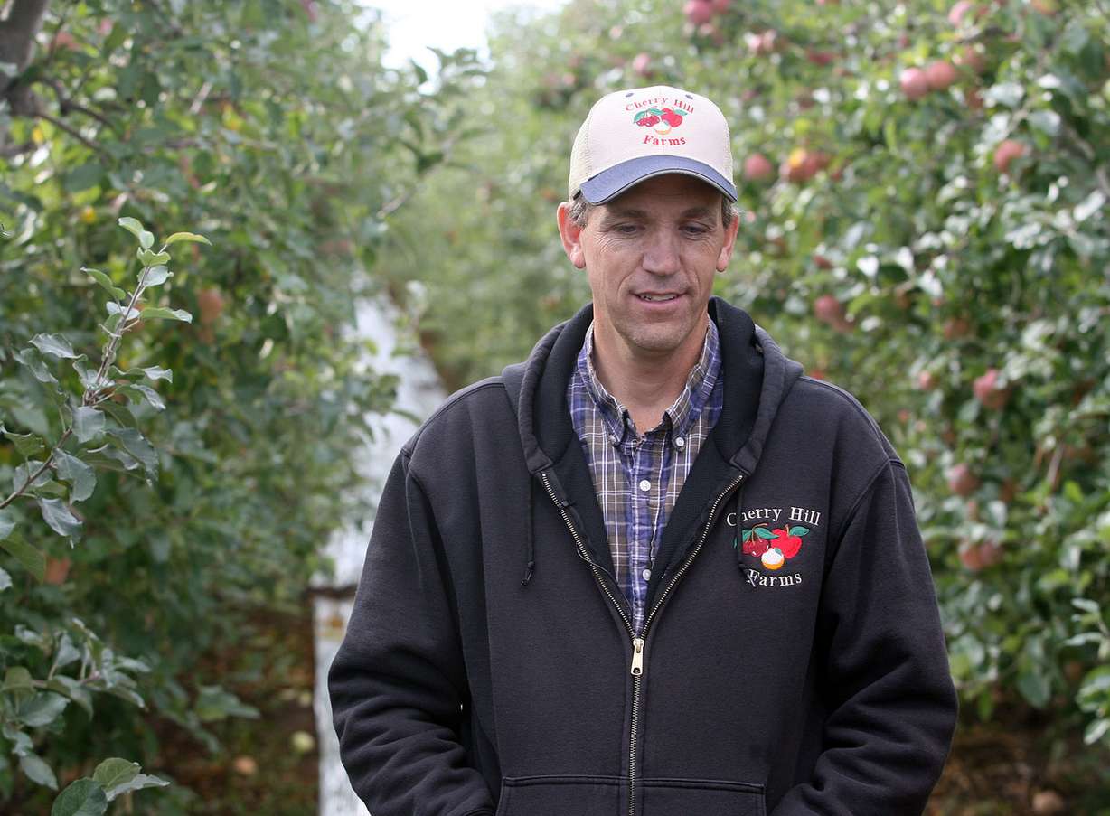 Curtis Rowley, one of the owners of Cherry Hill Farms, is pictured in Santaquin on Monday, October 17, 2012. The Agriculture Toolbox released Thursday by Envision Utah says Utah County farmland is worth saving; it's the No. 1 agriculture-producing county in the state, bringing in cash receipts of $245 million a year. (Photo: Brian Nicholson, Deseret News Archives)