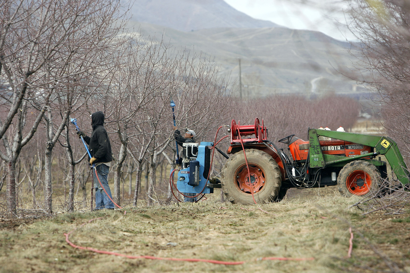 Shrinking Utah County farms: How to keep pavement at bay