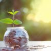 The credit union difference: 5 things that sets them apart