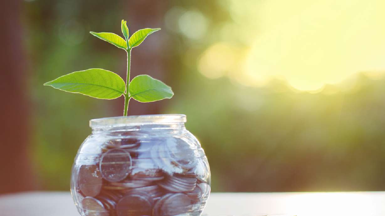 The credit union difference: 5 things that sets them apart