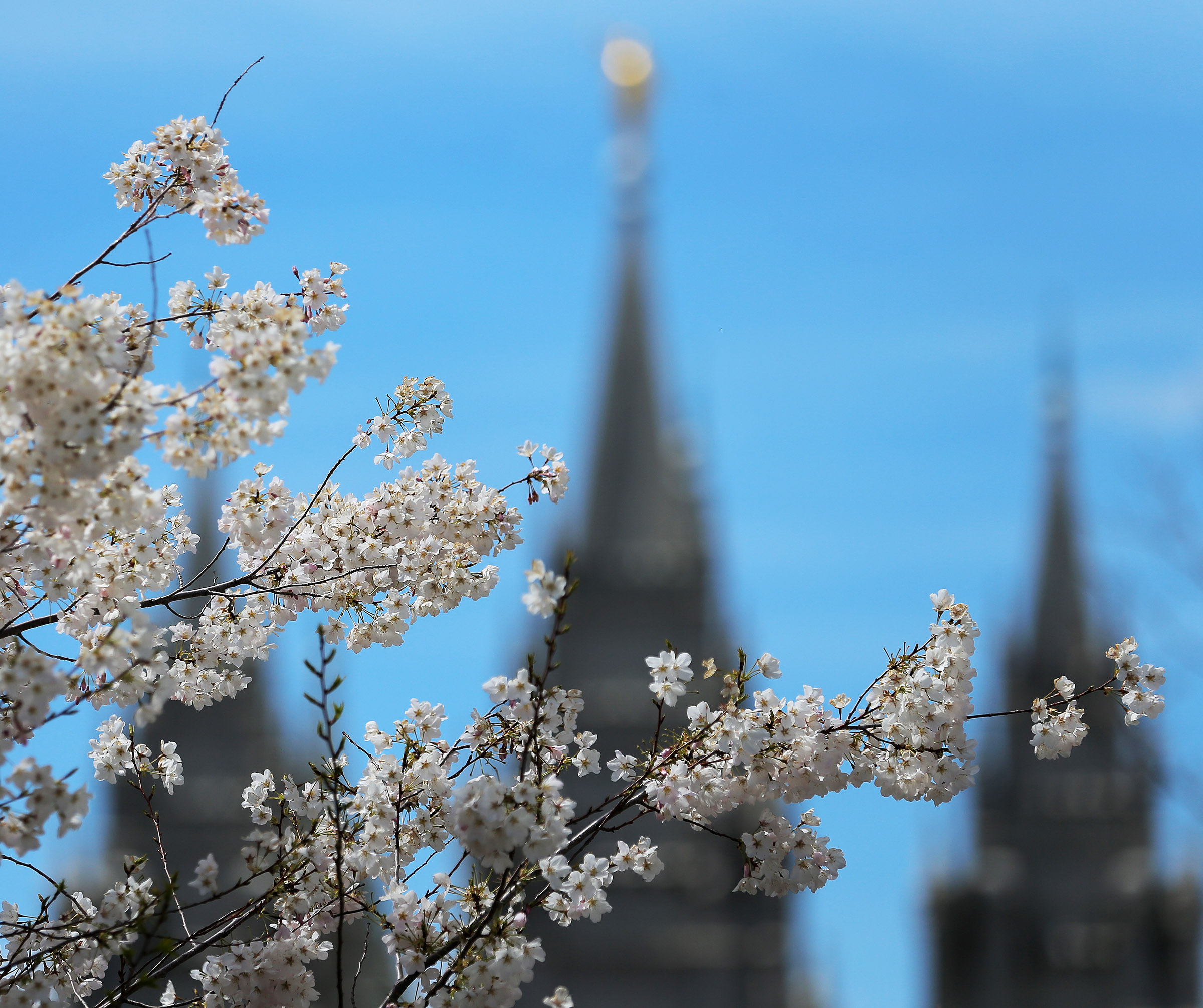 Special General Conference programming for KSL TV