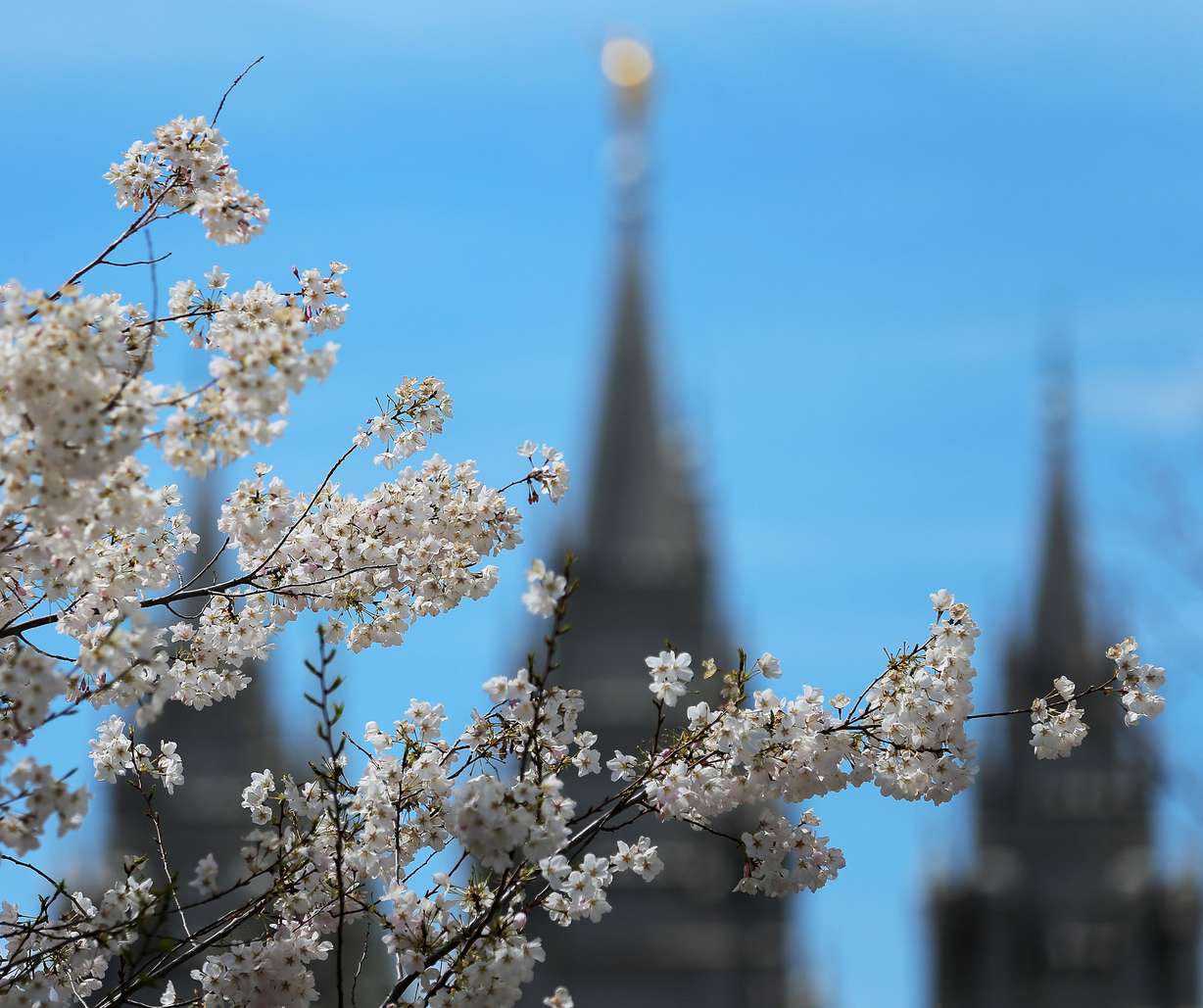 Special General Conference programming for KSL TV