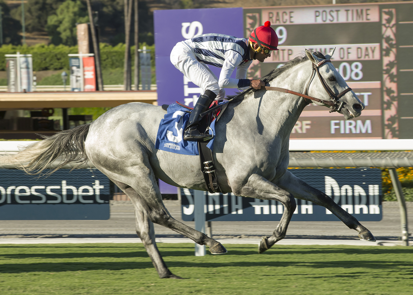 Holy Lute wins $100,000 Eddie D. Stakes at Santa Anita