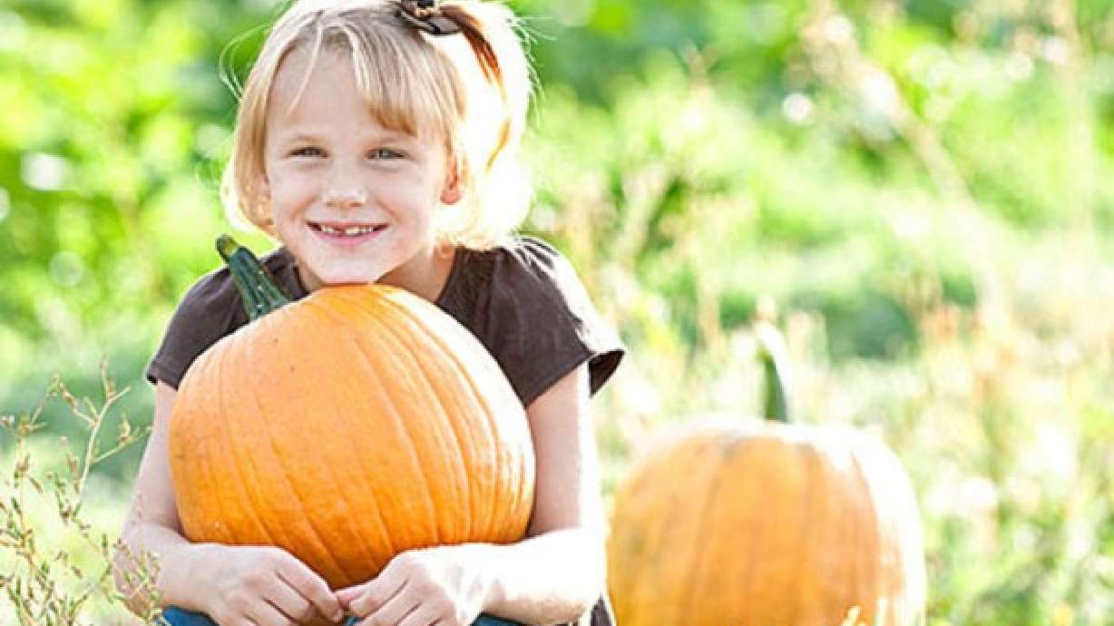 7 of Utah's best family fall activities