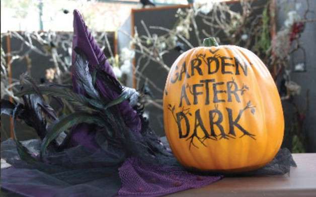 Courtesy of KSL Deals