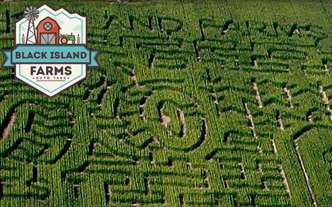 Courtesy of KSL Deals