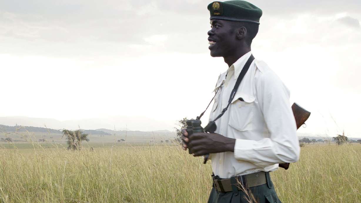 A ranger, poacher and investigator explain pangolin trade