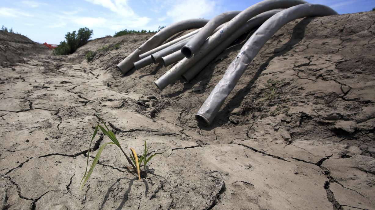 US Southwest faces threat of megadroughts with rising temps