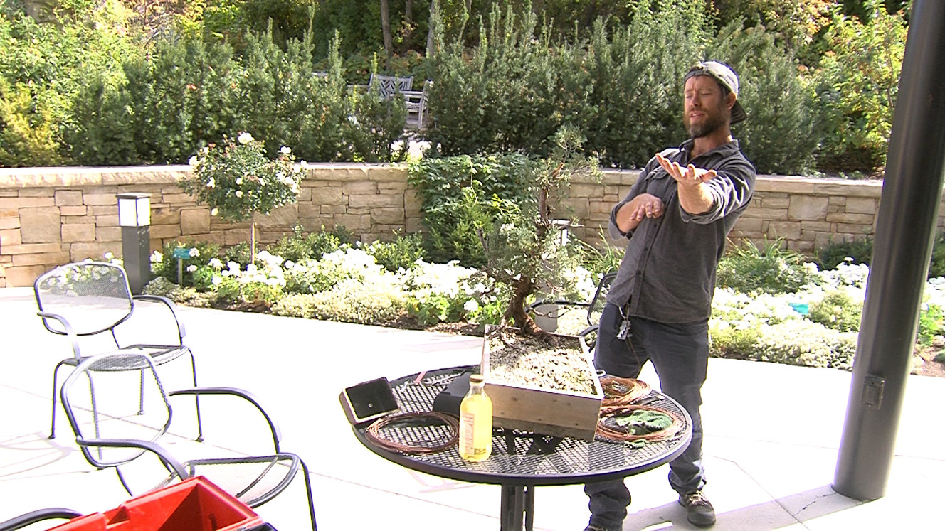 Sam Miller explains his tactics in sculpting bonsais. (Photo: Ray Boone)