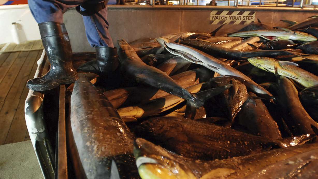 The Latest: Hawaii board denies changes for fishing licenses