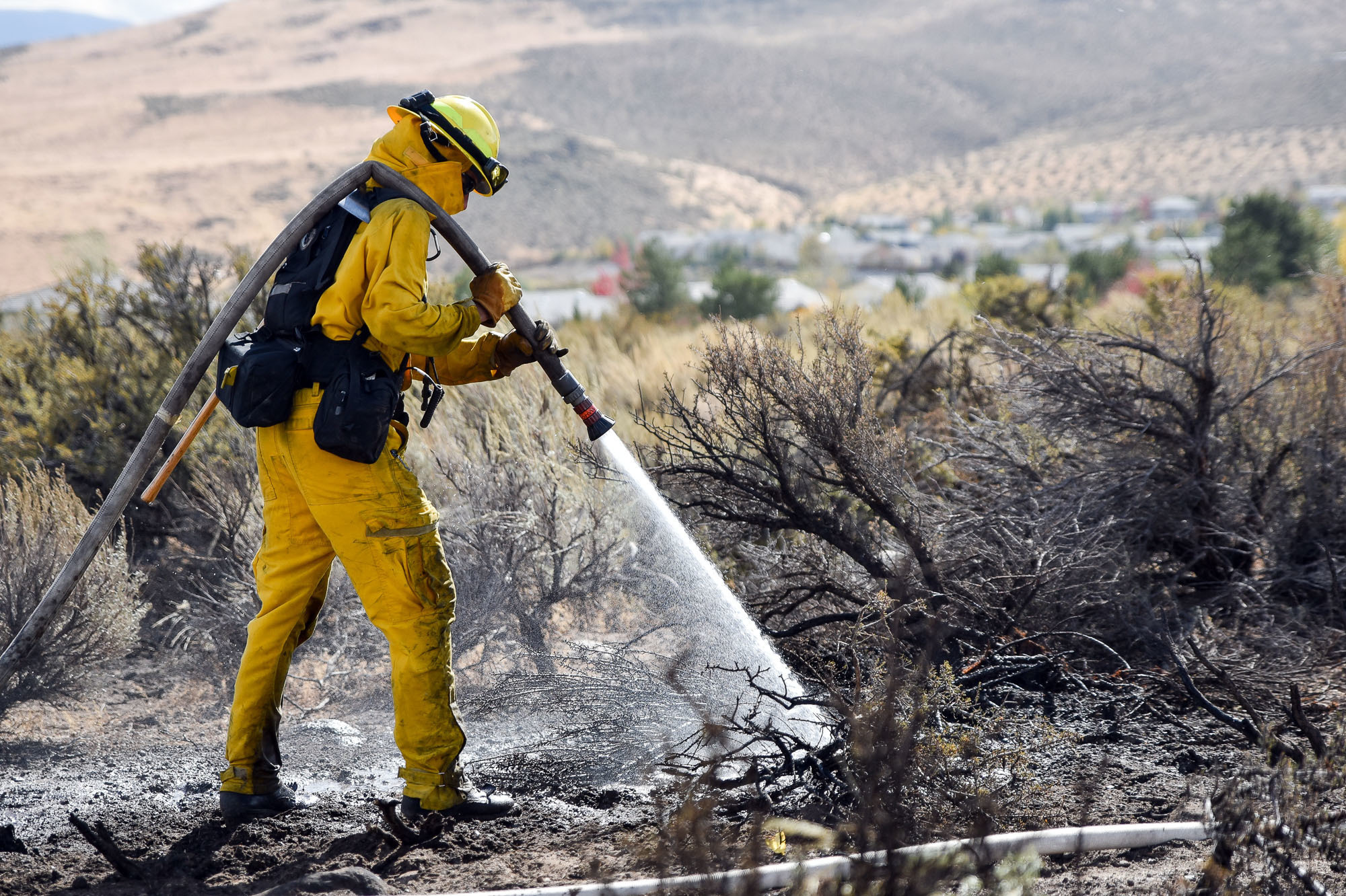 The Latest: 22 homes destroyed in Nevada wildfire