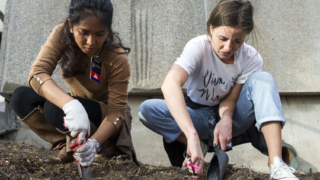 Pretty in pink: Leonardo garden to honor those battling breast cancer