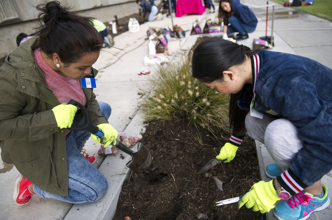 Sister Vasquez, an LDS missionary from Guatemala, and Sister Li from China plant tulips in honor of Breast Cancer Awareness Month outside of The Leonardo in Salt Lake City on Friday, Oct. 14, 2016. (Photo: Nick Wagner, Deseret News)