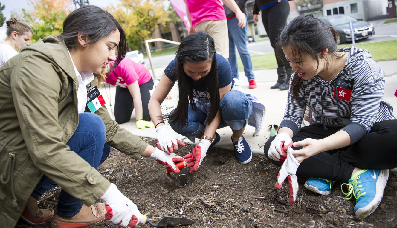 Three LDS missionaries plant tulips in honor of Breast Cancer Awareness Month outside of The Leonardo in Salt Lake City on Friday, Oct. 14, 2016. Volunteers planted some 1,600 pink tulips in the south lawn to create a Celebration Garden. (Photo: Nick Wagner, Deseret News)