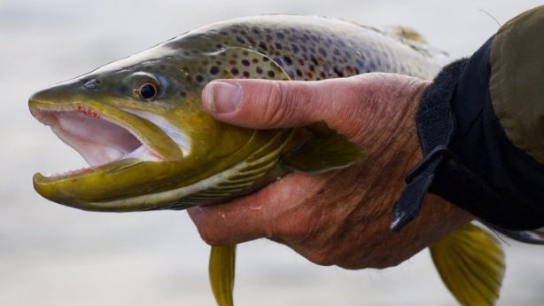4 reasons to fish the Green River in fall | KSL.com 4 reasons to fish the Green River in fall | KSL.com