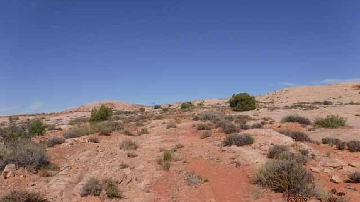 Auction nets $ for Utah schools, sells off part of land in Bears Ears struggle