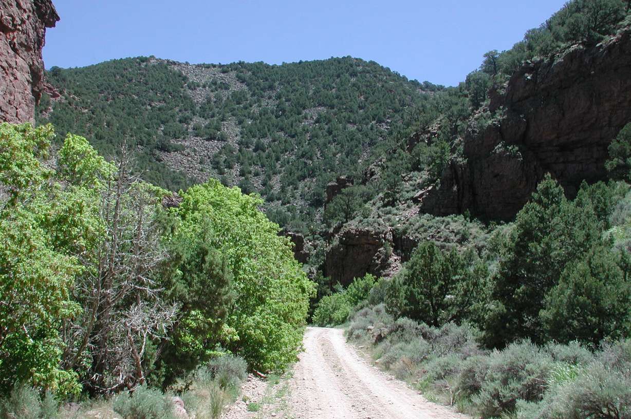 The Crouse Canyon parcel in Uintah County is made up of 600 acres and was auctioned by the Utah School and Institutional Trust Lands Administration for $850,000. It was sold to Ufford Investment on Oct. 19, 2016. (Photo: SITLA)