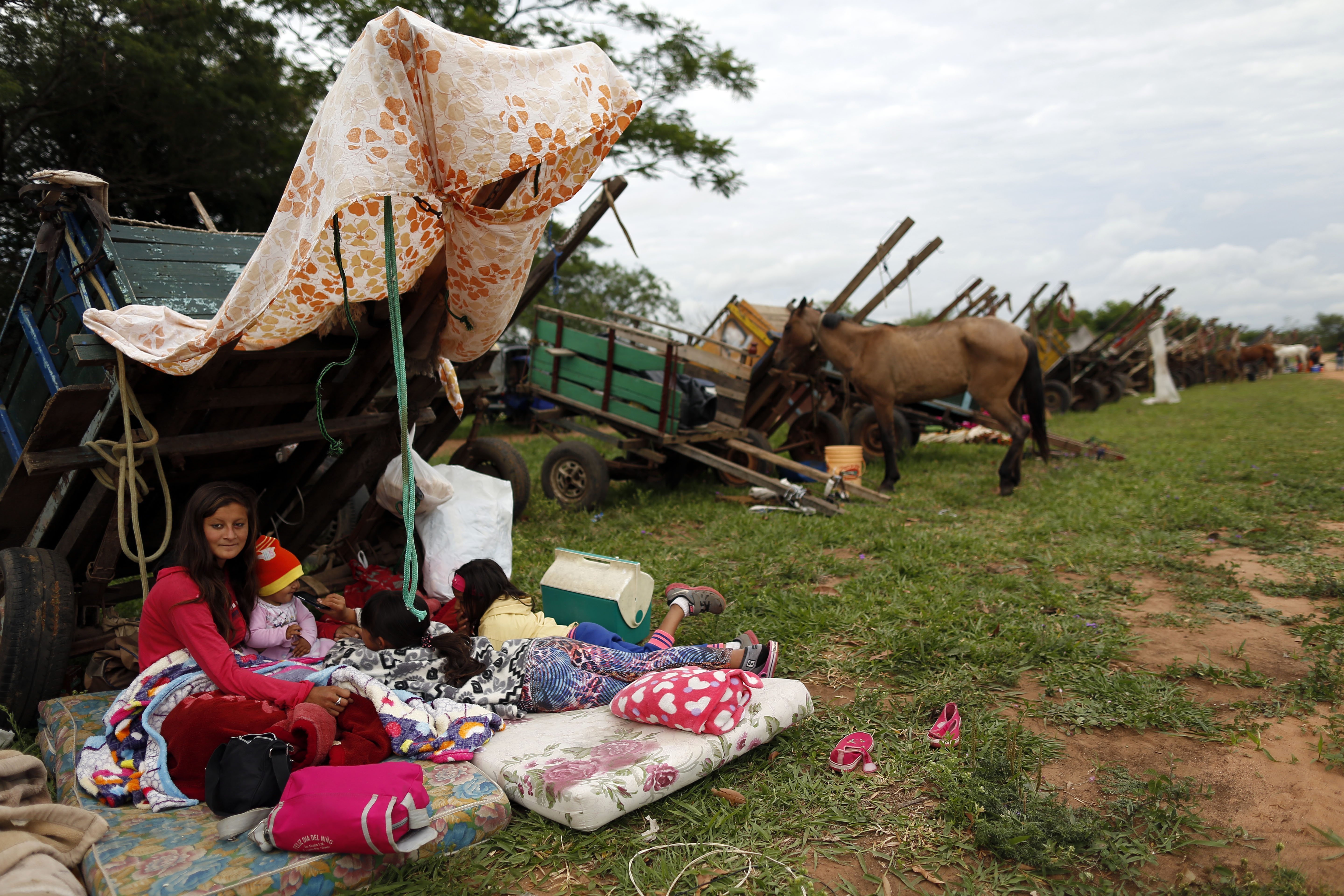 In Paraguay, 100 horses are protected, traded for moto-carts